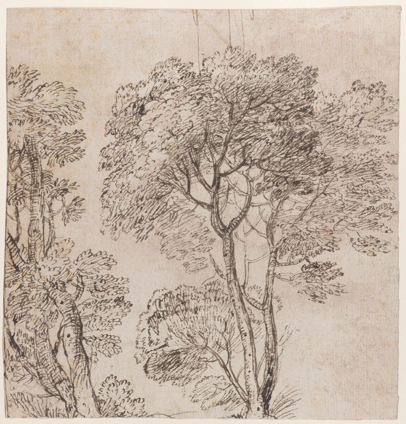Nicolas Poussin, Study of a Group of Trees, ca. 1625–50