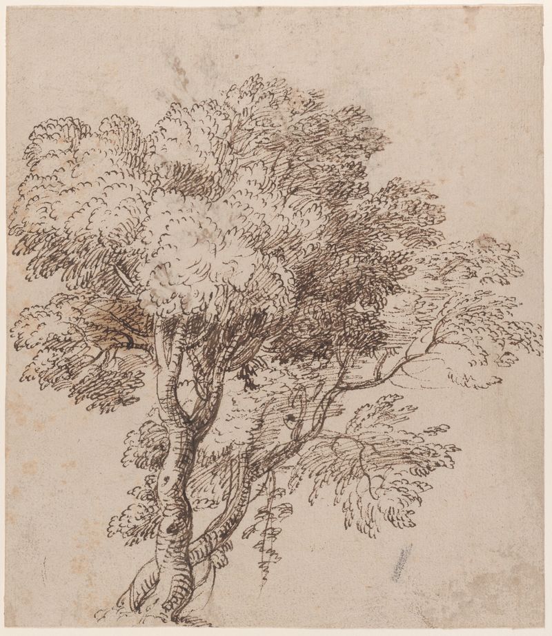 Nicolas Poussin, Study of a Group of Trees, ca. 1625–50