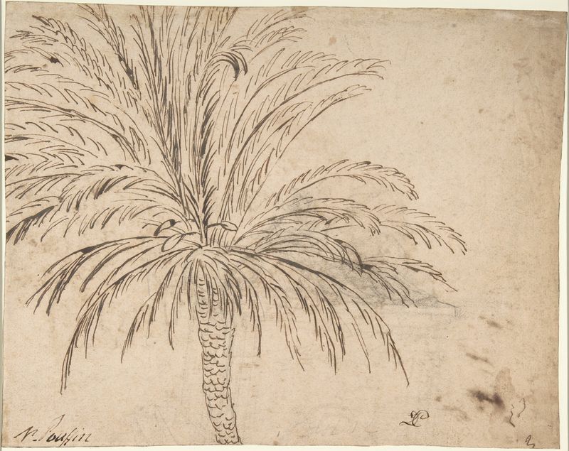 Nicolas Poussin, Study of a Palm Tree (recto); Mountain Landscape (verso), ca. 1635–40